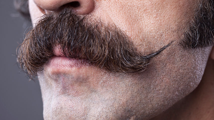 Closeup of a thick moustache resting on a man’s face.